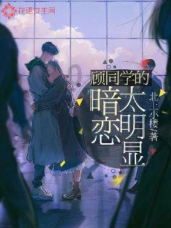@回家的你 这张网得探一探